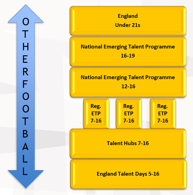 OTAlent ID pathway flowchart